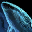 Whale Hologram