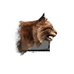 Juvenile Lynx icon