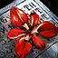 Bring the Red Iris Flower to Rest