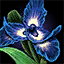 Iris royal ascalonien (gw2)