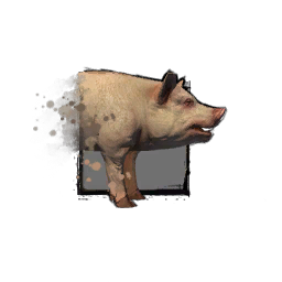 Juvenile Pig icon