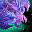 Vital Geode Wavehawk Skimmer