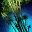Large Bamboo Clump