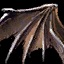 Tattered Bat Wing*250